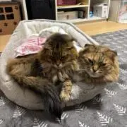 らいそら