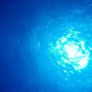 ドコモの画像