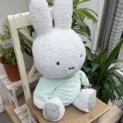 あの画像