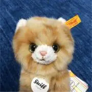 真夏のねこの画像
