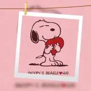 kikiの画像