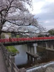 晴れ桜 【購入・交渉の際はプロフ必読】