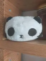 なめこの画像