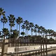 マリの画像