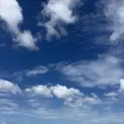 リョウの画像
