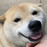 ゆりな