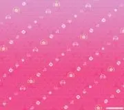 シロの画像