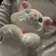 のいの画像