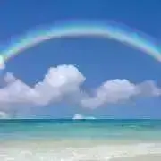 ペコの画像
