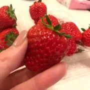 きゃお