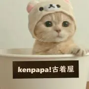 ケンパパ!【フォロワー割引  実施中！】の画像