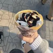 プリン沼　プロフ必読の画像