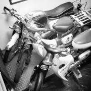 cub829
