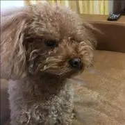 ベティ