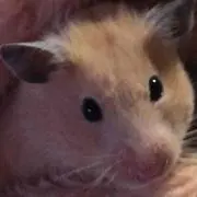 とらり