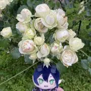 しろ