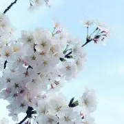 オータム＆サマーの画像