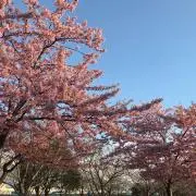 環太郎　値下げ交渉○の画像