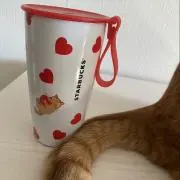 ゆずの画像