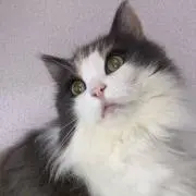 K✩ 和田