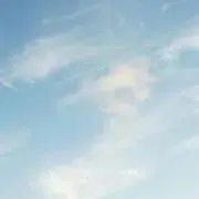 Sの画像