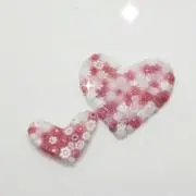 アスランの画像