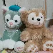 まゆの画像