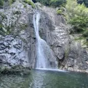 ミーの画像