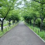 Flipの画像