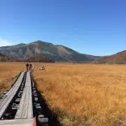 まさの画像