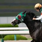 yasuの画像