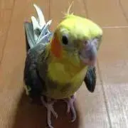 U-P-。