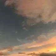 アボカドの画像