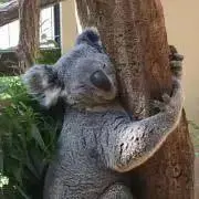 みの画像
