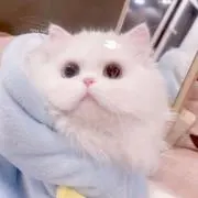 aの画像