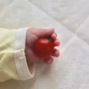 la fraise꙳.*