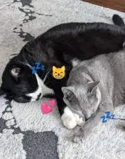 M (’-’*)♪★*☆♪の画像