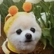あっち