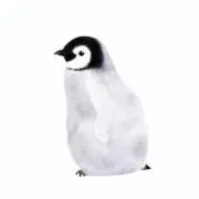 しまの画像