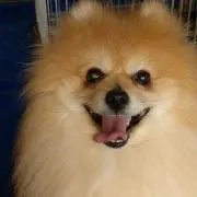 たっくんの画像