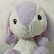グルメッシュの画像