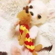 くみぽん♡