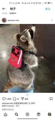 reiの画像