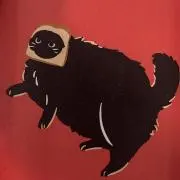 sham✴︎の画像