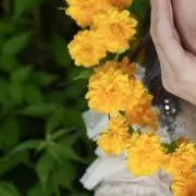 みんゆんの画像