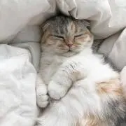 断捨離中の画像