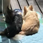 やまだの画像