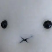まいちゃんの画像