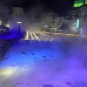たーの画像