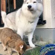 さっぴ